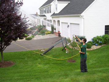 Photo of spraying tree with horticulture oil